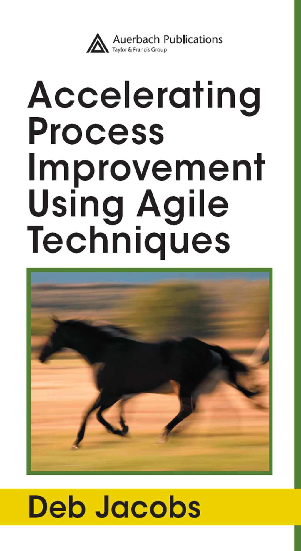 Accelerating Process Improvement Using Agile Techniques 1st Edition â ...