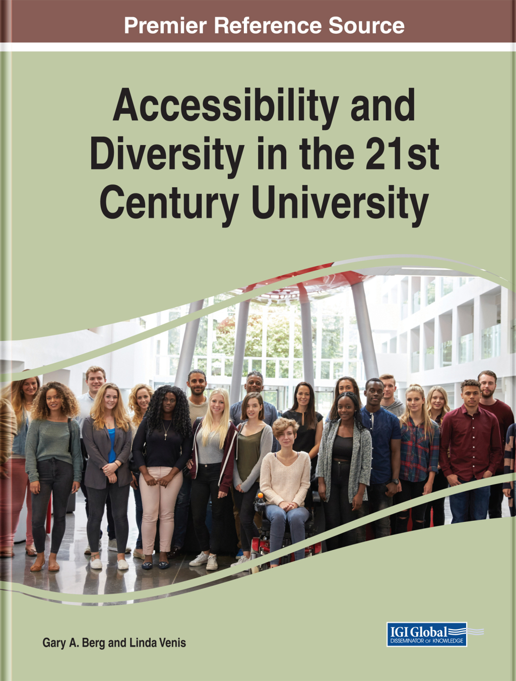 Accessibility and Diversity in the 21st Century University â€“ PDF/EPUB Version Downloadable