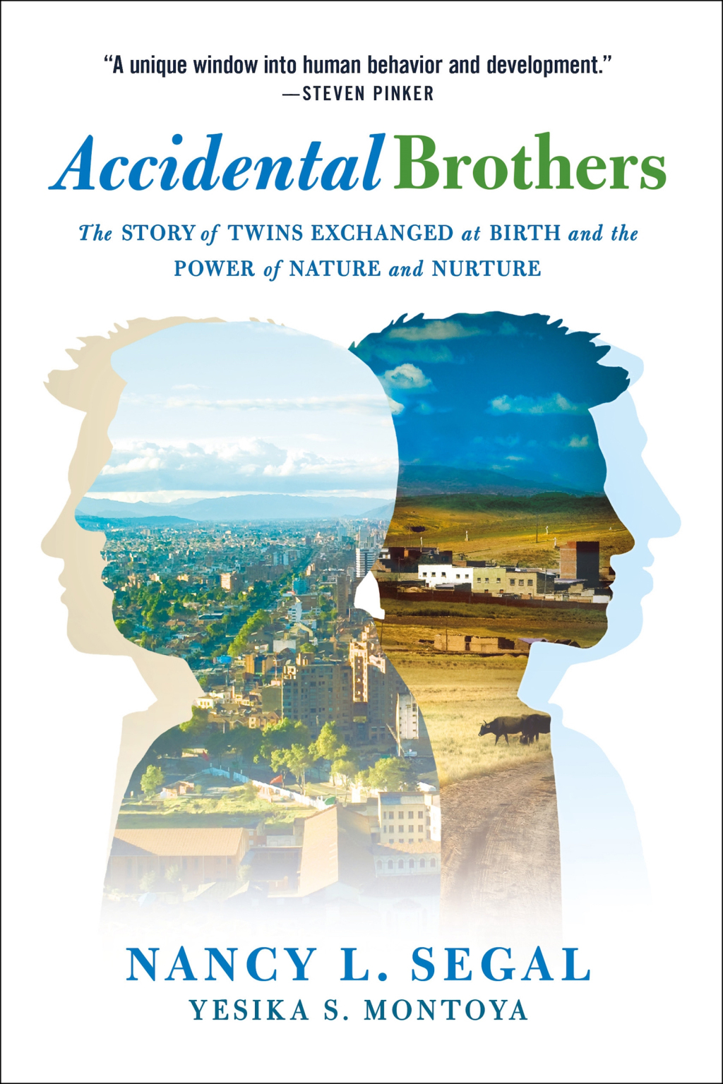 Accidental Brothers The Story of Twins Exchanged at Birth and the Power of Nature and Nurture - (PDF/EPUB Version)