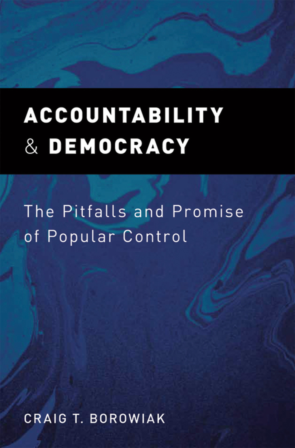 Accountability and Democracy The Pitfalls and Promise of Popular Control â€“ PDF/EPUB Version Downloadable