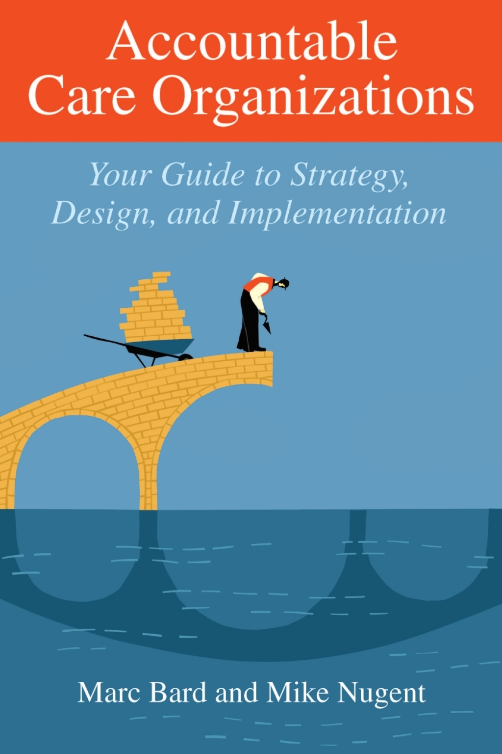 Accountable Care Organizations Your Guide to Strategy, Design, and Implementation  â€“ PDF/EPUB Version Downloadable