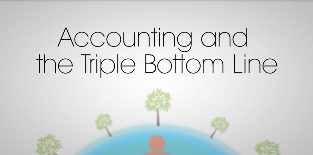 Accounting and the Triple Bottom Line: Learn how to calculate financial, social and environmental performance of a company and understand best methods to track sustainability within a firm 1st Edition - (PDF/EPUB Version)