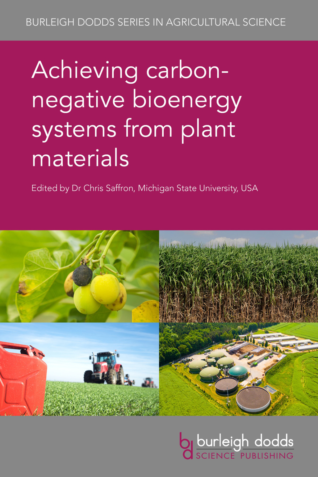 Achieving carbon-negative bioenergy systems from plant materials 1st Edition â€“ PDF/EPUB Version Downloadable