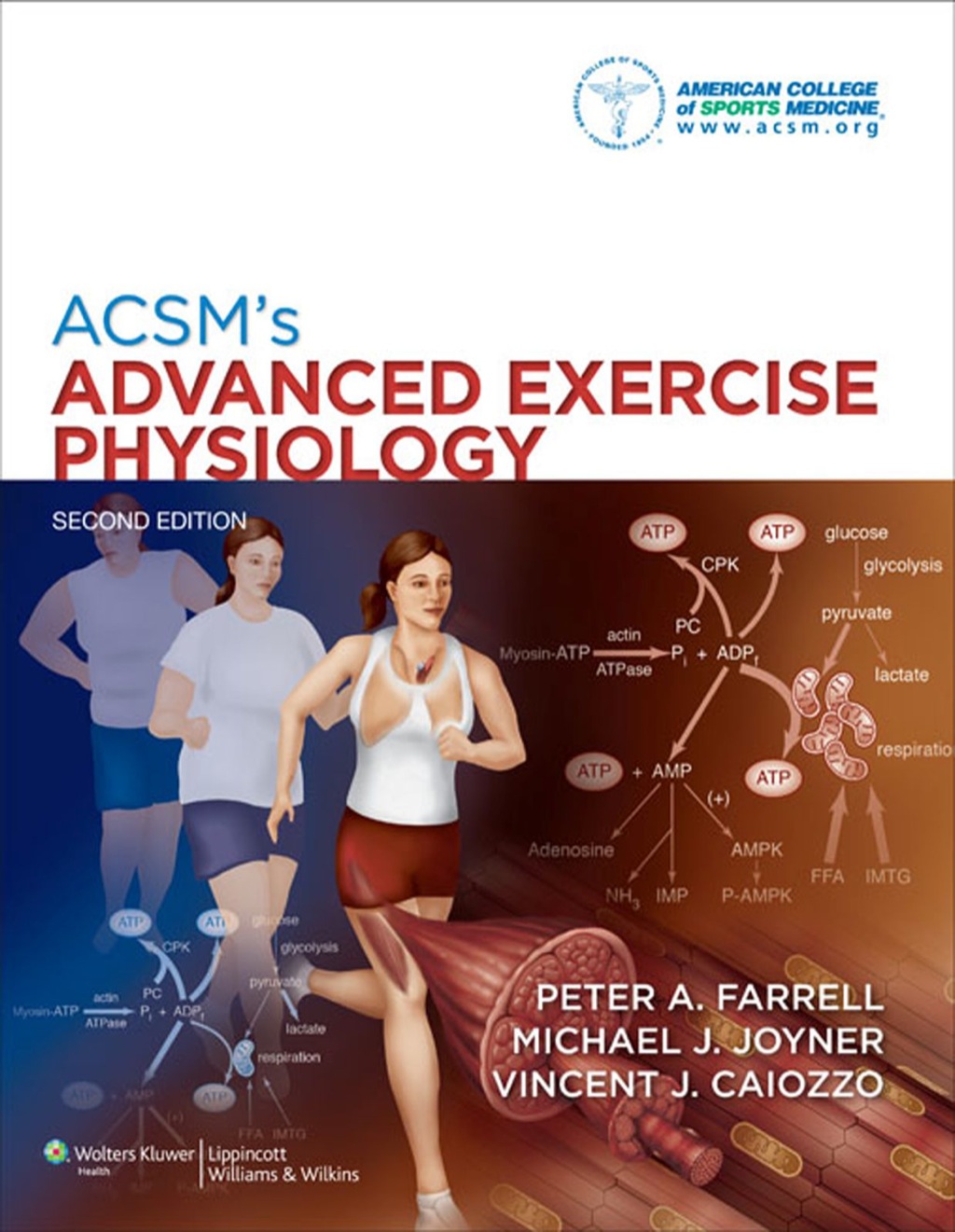 ACSM's Advanced Exercise Physiology 2nd Edition â€“ PDF/EPUB Version Downloadable
