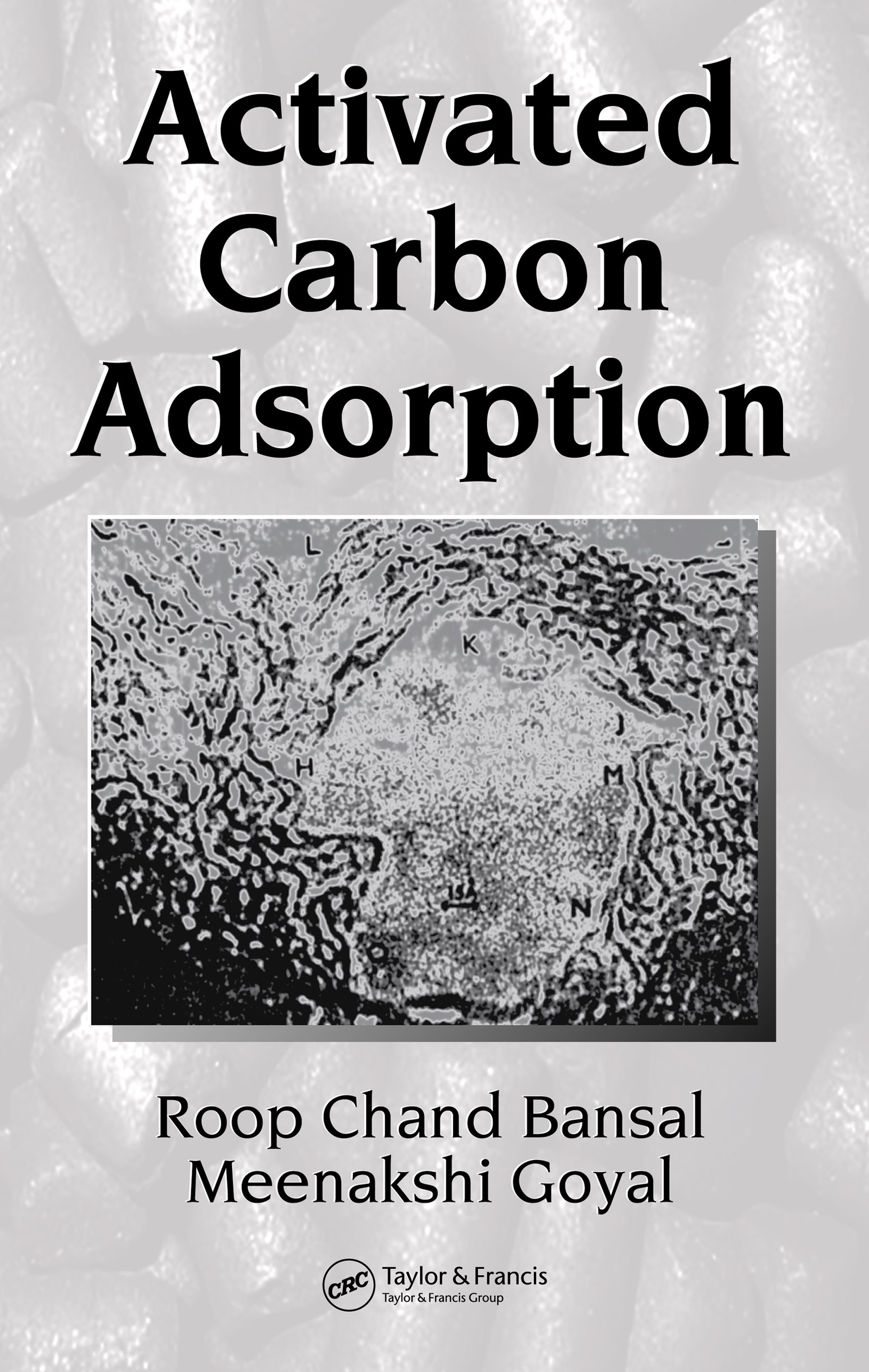 Activated Carbon Adsorption – PDF/EPUB Version Downloadable – Feetlux Store
