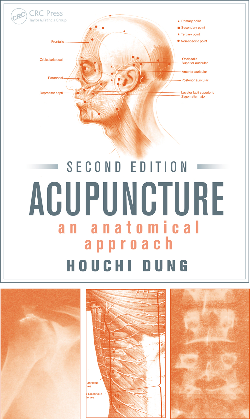Acupuncture An Anatomical Approach, Second Edition 2nd Edition â€“ PDF/EPUB Version Downloadable