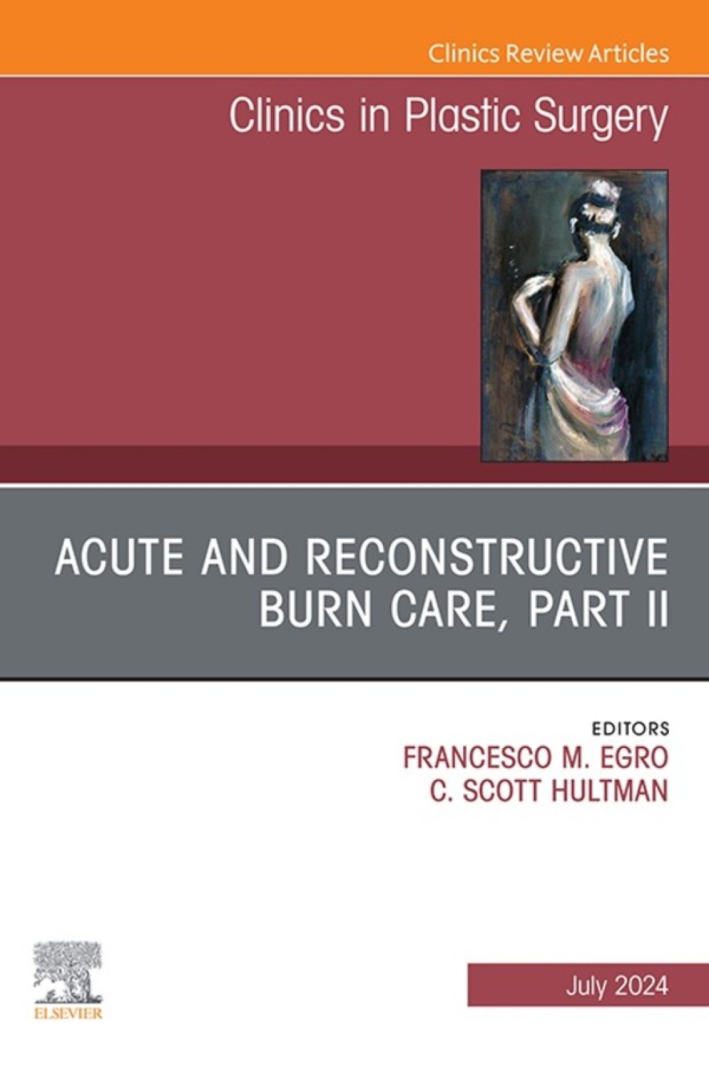 Acute and Reconstructive Burn Care, Part II, An Issue of Clinics in Plastic Surgery 1st Edition â€“ PDF/EPUB Version Downloadable