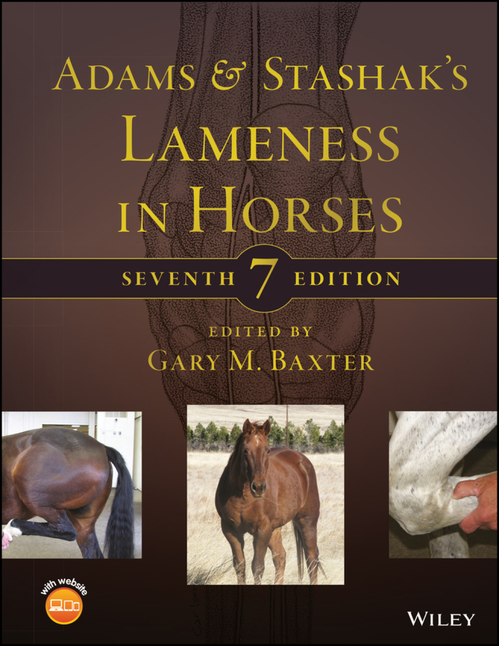 Adams and Stashak's Lameness in Horses, 7th Edition 7th Edition â€“ PDF/EPUB Version Downloadable