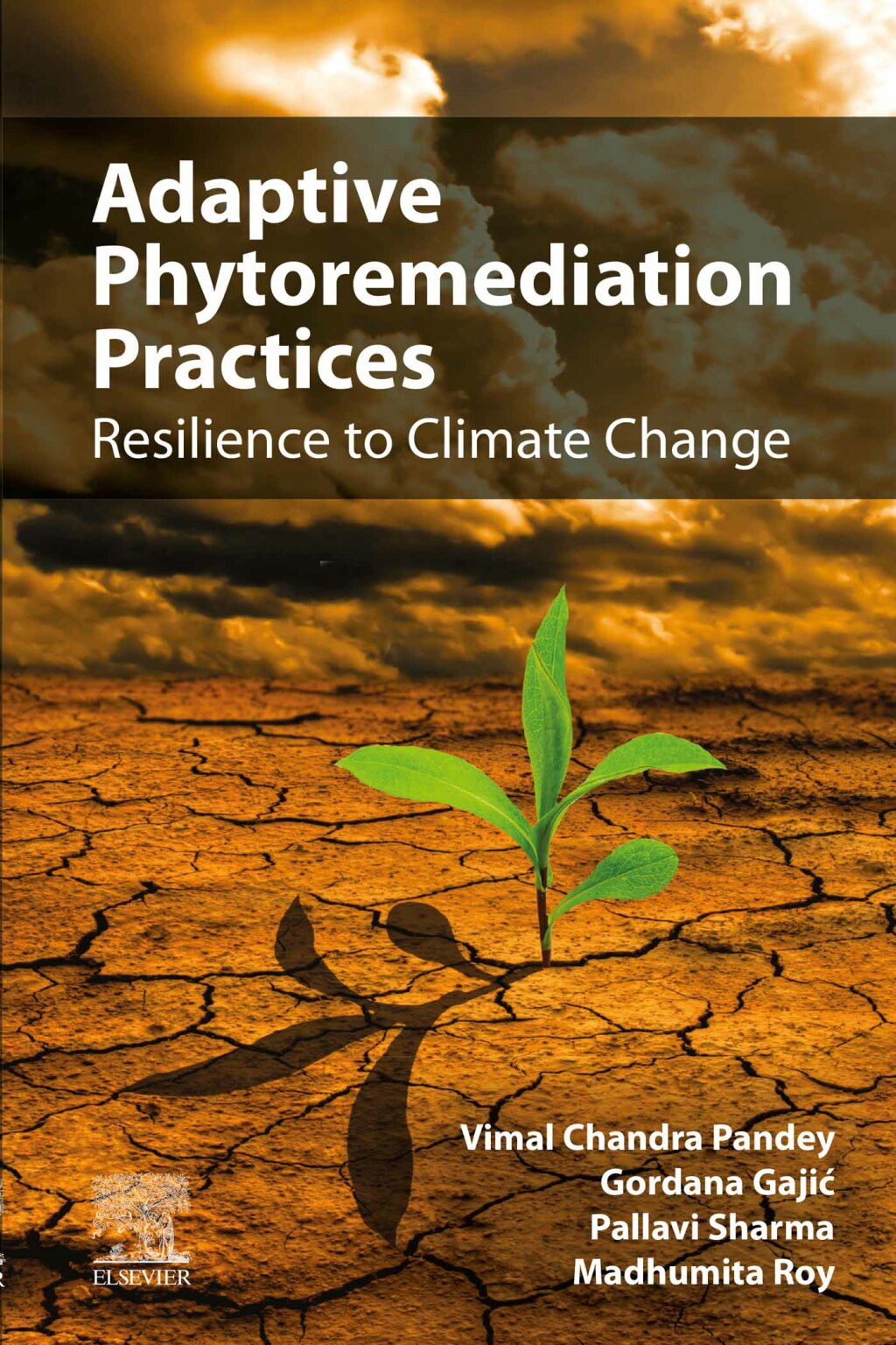 Adaptive Phytoremediation Practices Resilience to Climate Change â€“ PDF/EPUB Version Downloadable
