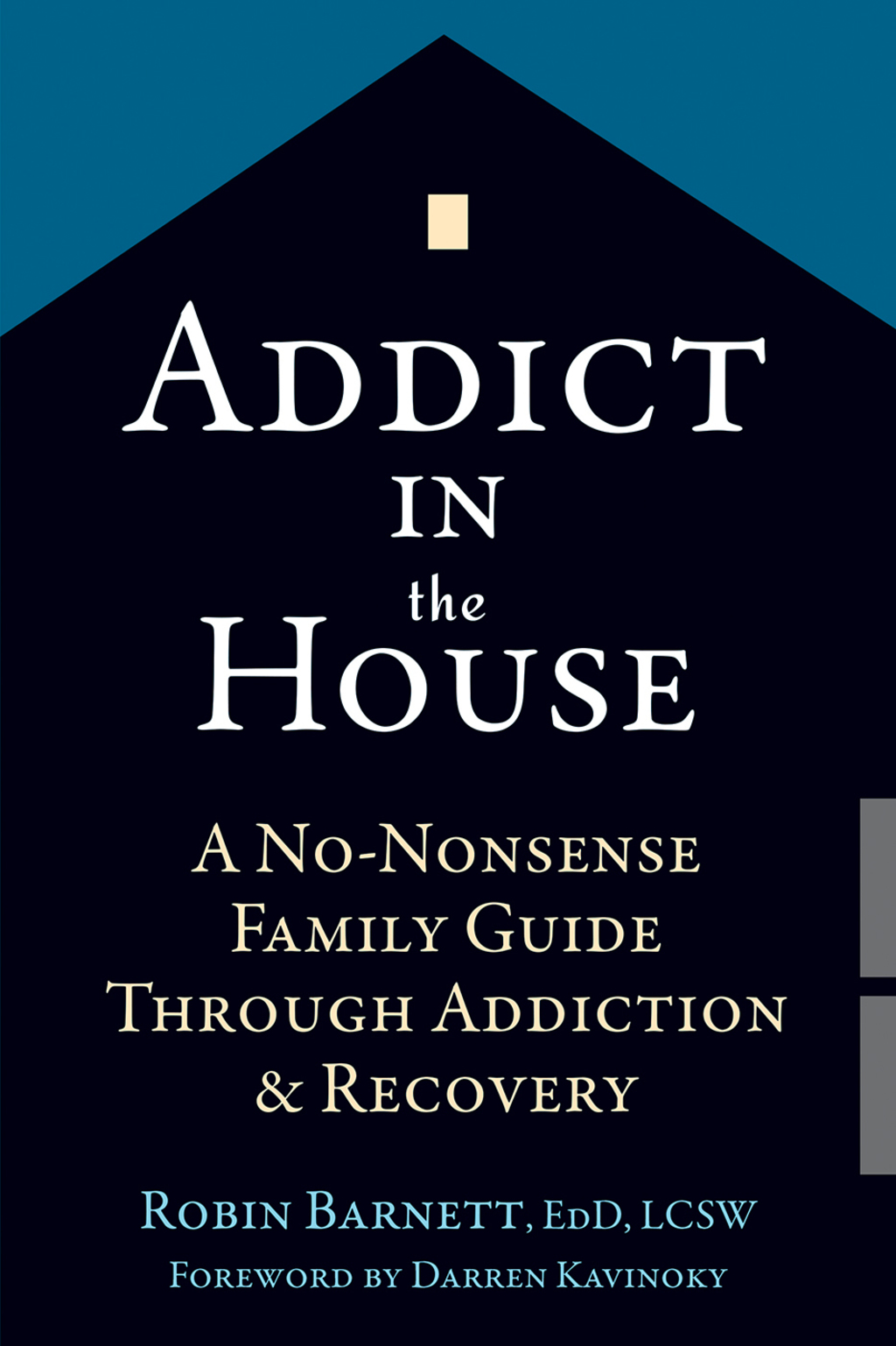 Addict in the House A No-Nonsense Family Guide Through Addiction and Recovery - (PDF/EPUB Version)