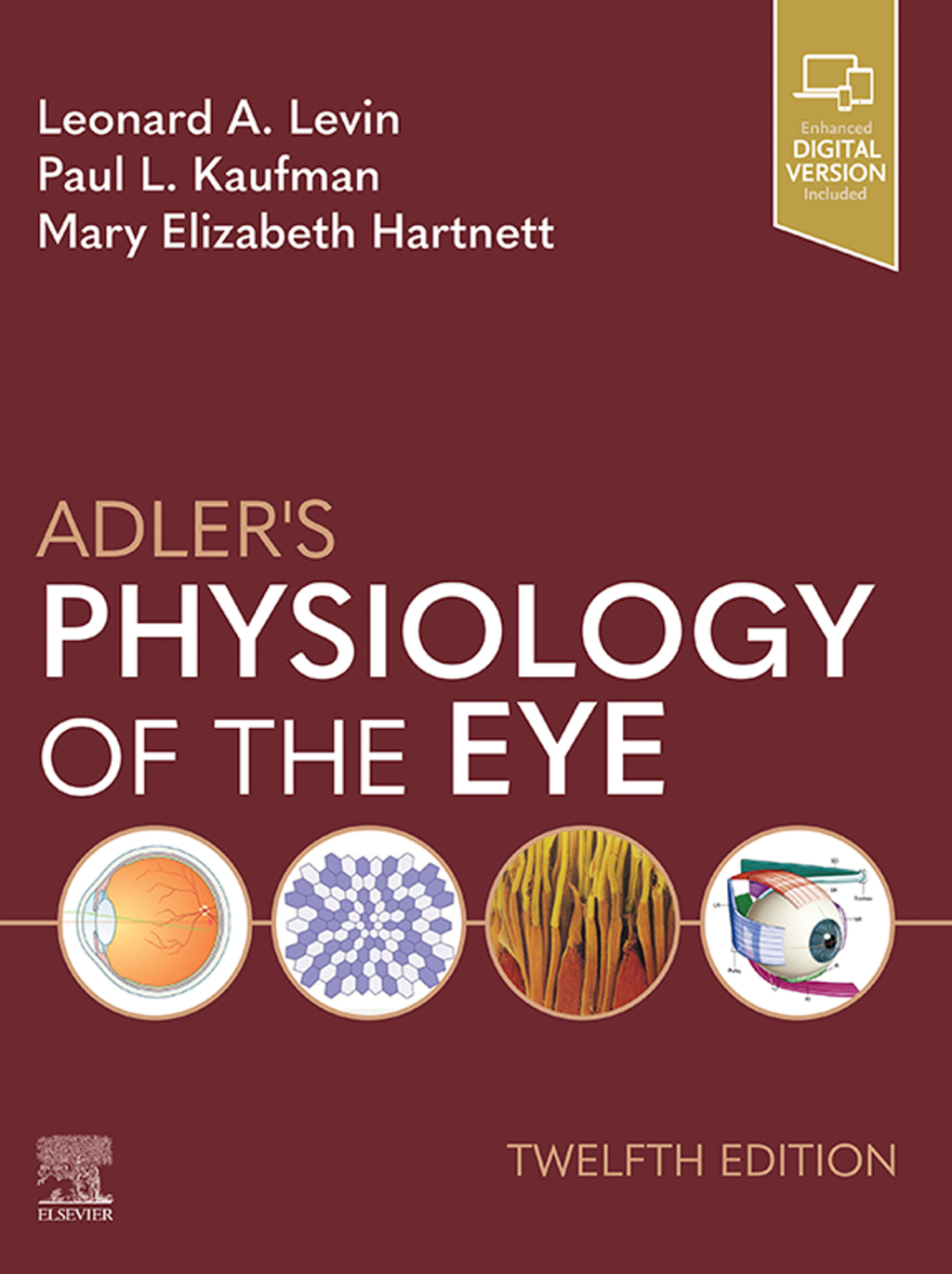 Adler's Physiology of the Eye 12th Edition â€“ PDF/EPUB Version Downloadable