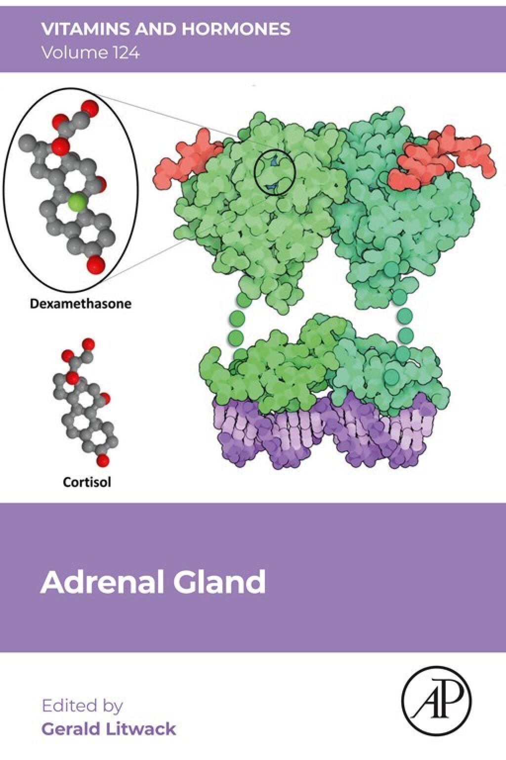 Adrenal Gland 1st Edition â€“ PDF/EPUB Version Downloadable