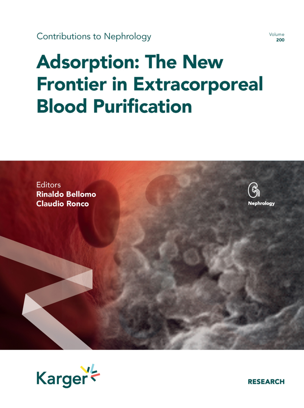 Adsorption: The New Frontier in Extracorporeal Blood Purification 1st Edition â€“ PDF/EPUB Version Downloadable