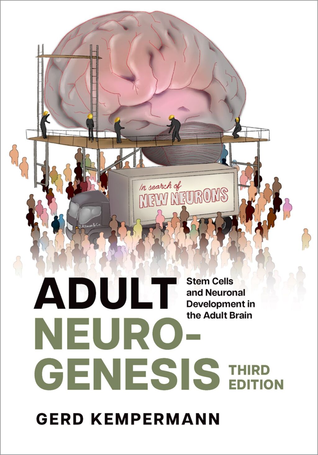 Adult Neurogenesis Stem Cells and Neuronal Development in the Adult Brain 3rd Edition â€“ PDF/EPUB Version Downloadable