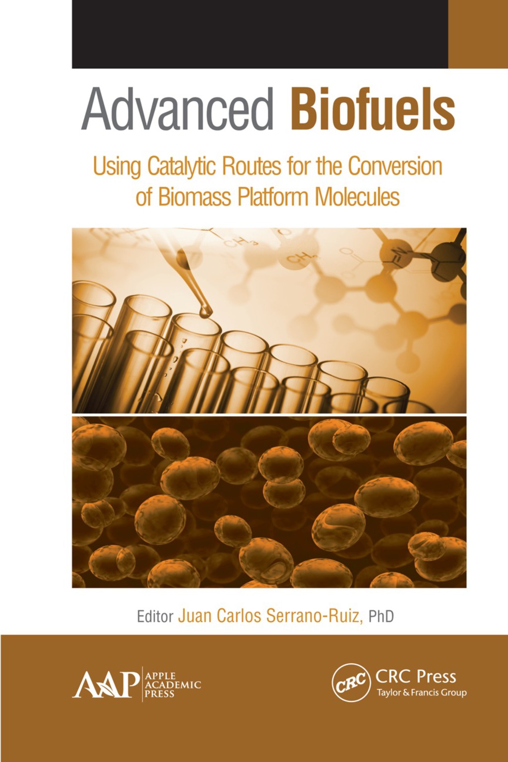 Advanced Biofuels Using Catalytic Routes for the Conversion of Biomass Platform Molecules 1st Edition â€“ PDF/EPUB Version Downloadable