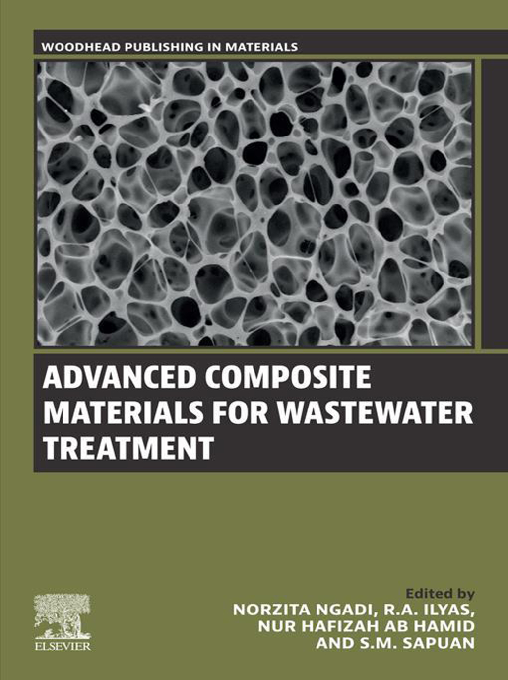 Advanced Composite Materials for Wastewater Treatment â€“ PDF/EPUB Version Downloadable