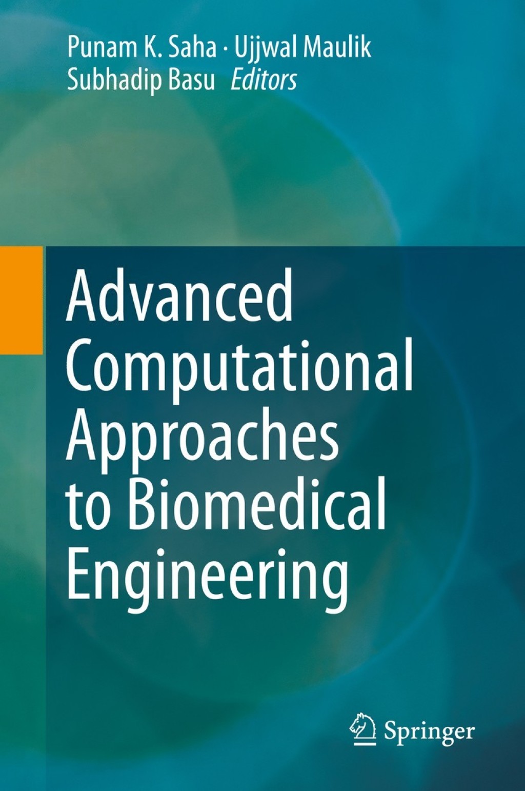 Advanced Computational Approaches to Biomedical Engineering â€“ PDF ...
