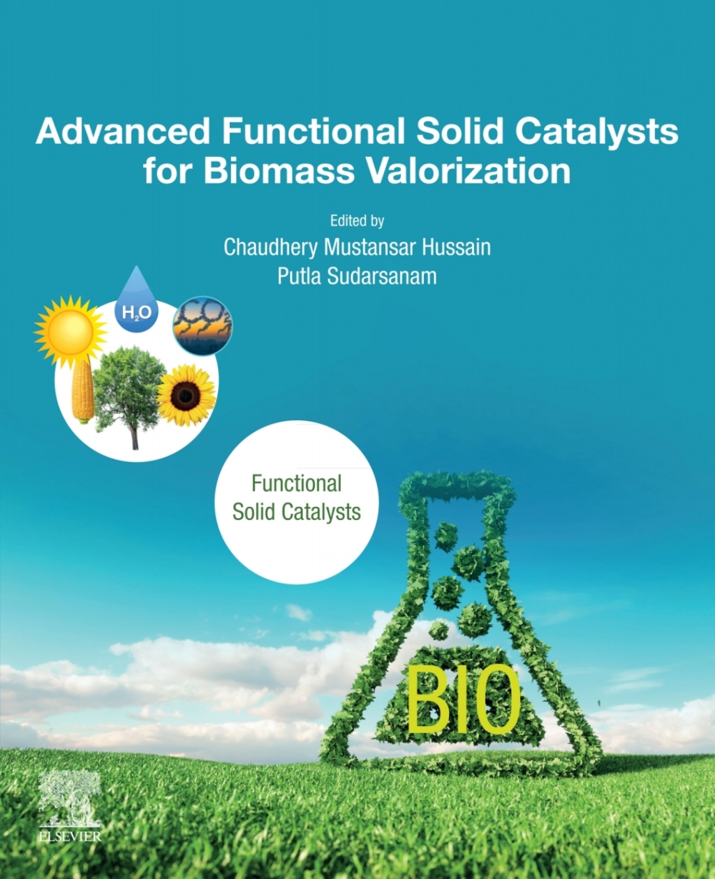 Advanced Functional Solid Catalysts for Biomass Valorization 1st Edition â€“ PDF/EPUB Version Downloadable