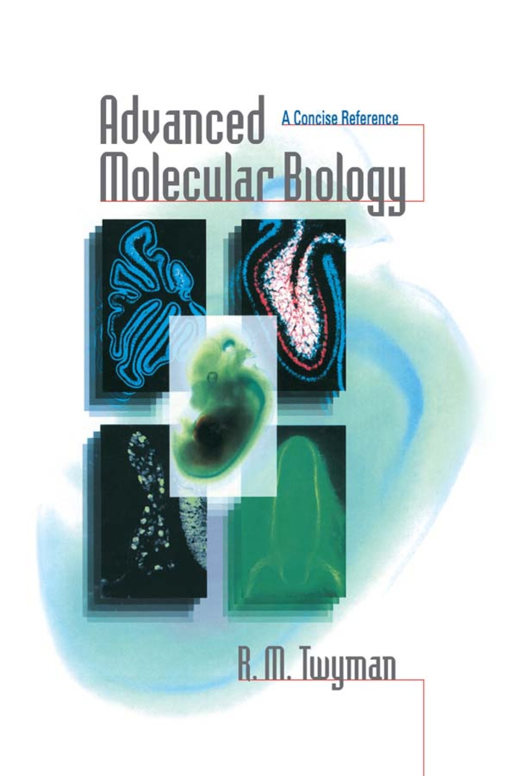 Advanced Molecular Biology A Concise Reference 1st Edition â€“ PDF/EPUB Version Downloadable