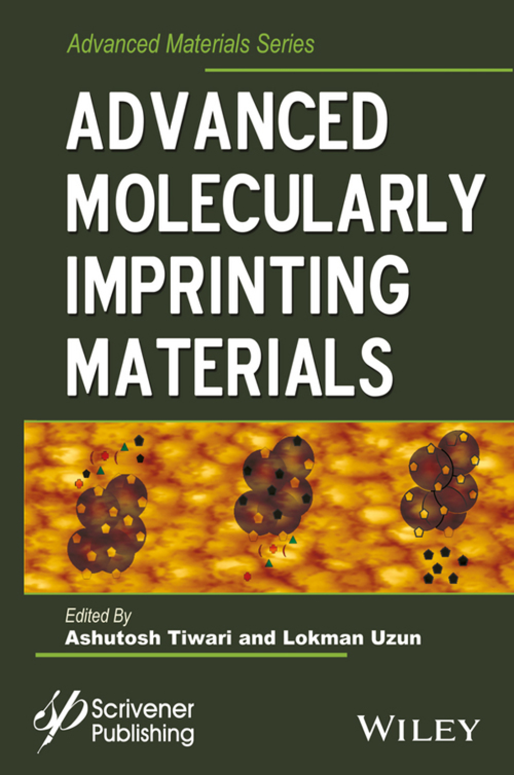 Advanced Molecularly Imprinting Materials 1st Edition â€“ PDF/EPUB Version Downloadable
