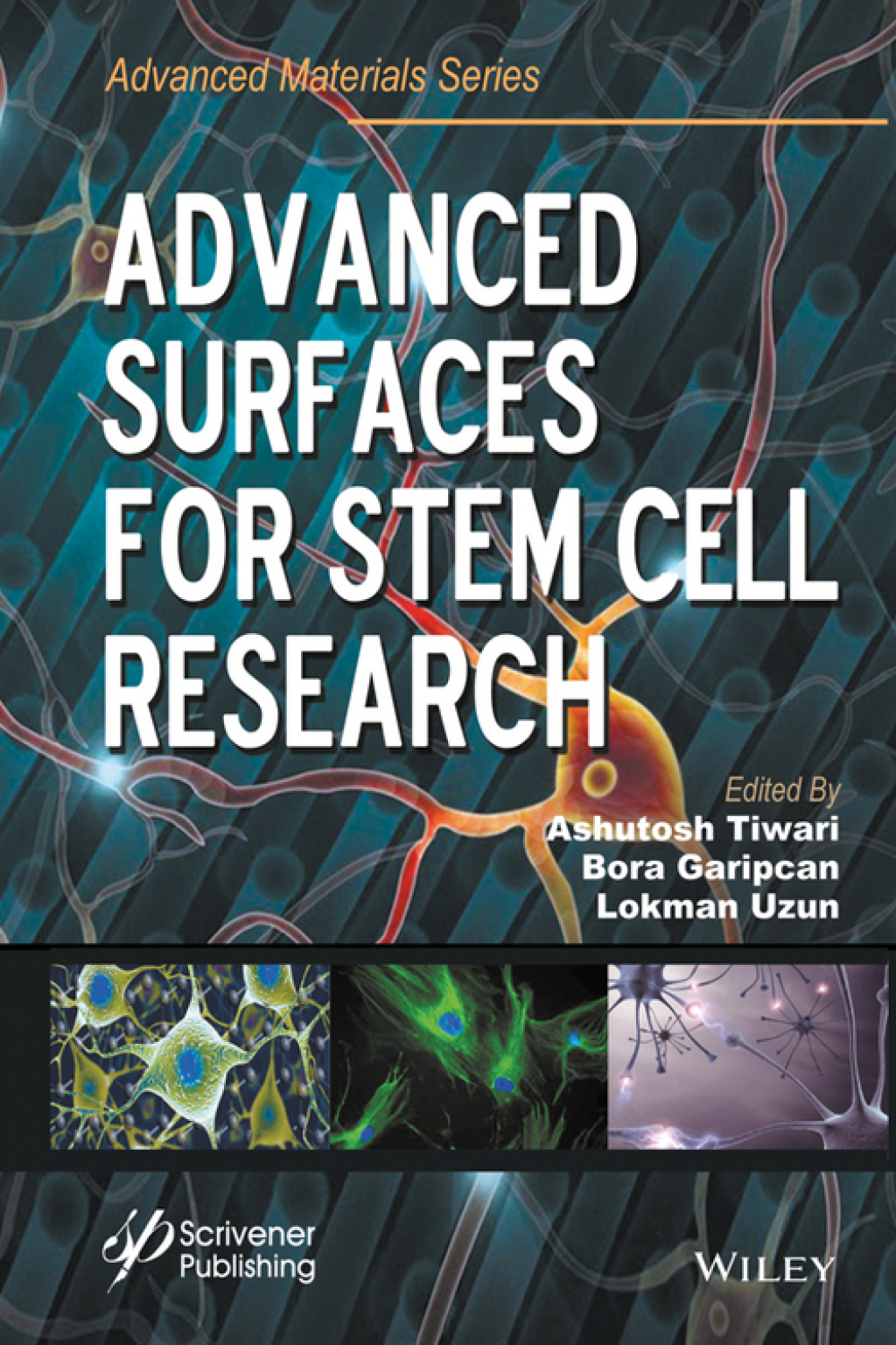 Advanced Surfaces for Stem Cell Research 1st Edition â€“ PDF/EPUB Version Downloadable