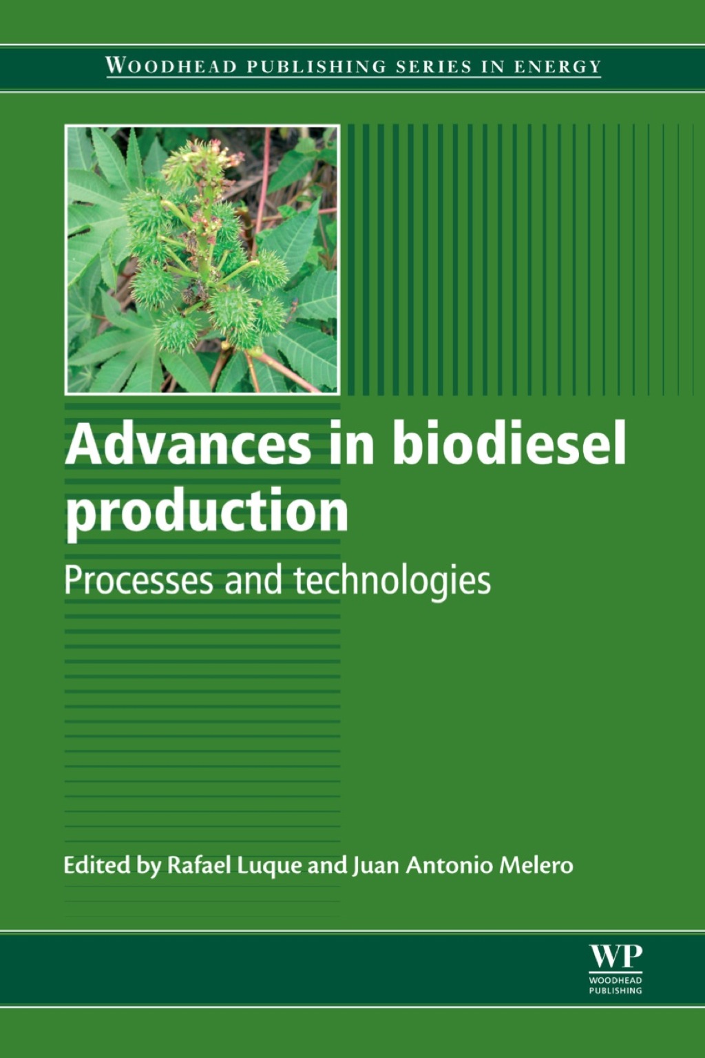 Advances in Biodiesel Production: Processes and Technologies â€“ PDF/EPUB Version Downloadable