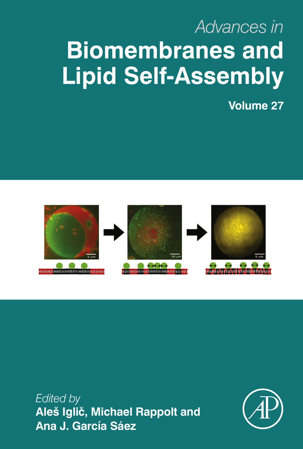 Advances in Biomembranes and Lipid Self-Assembly â€“ PDF/EPUB Version Downloadable