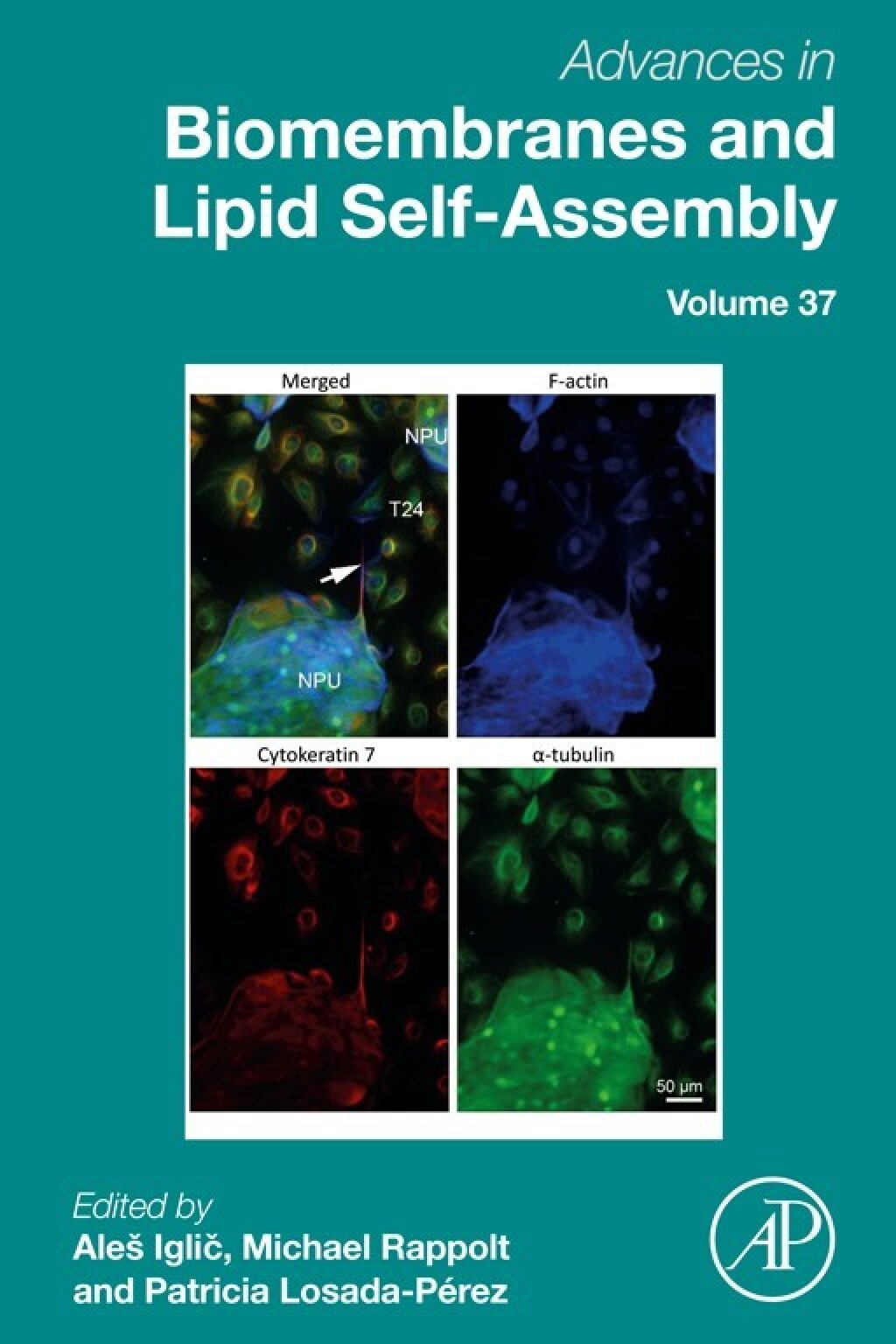 Advances in Biomembranes and Lipid Self-Assembly 1st Edition â€“ PDF/EPUB Version Downloadable