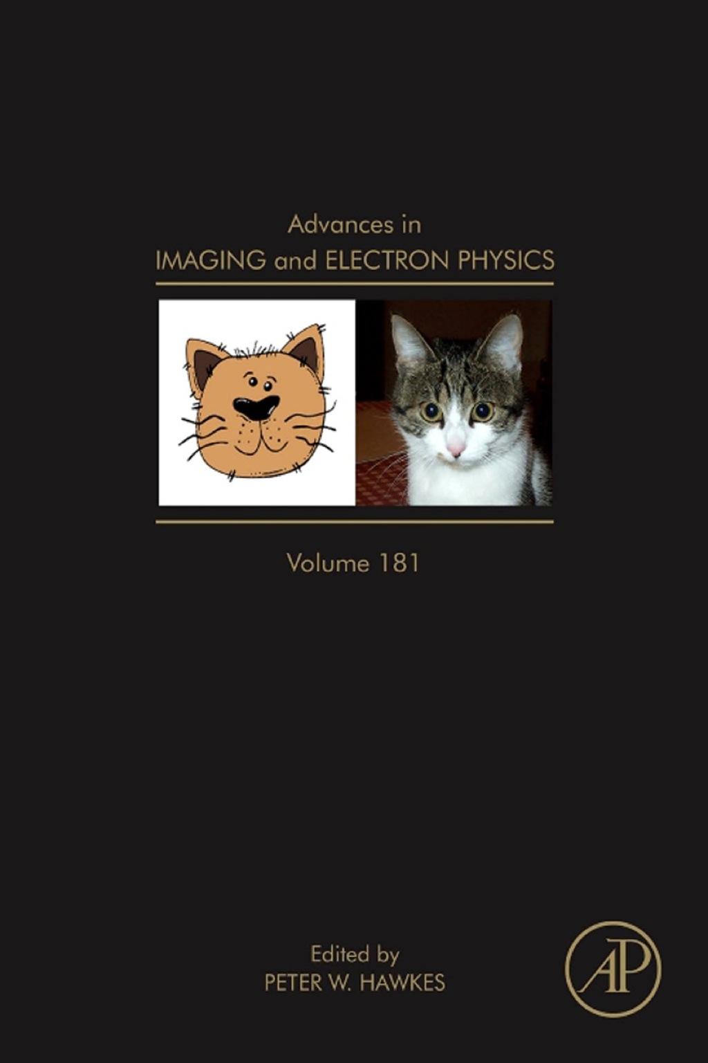 Advances in Imaging and Electron Physics – PDF/EPUB Version Downloadable Advances in Imaging and Electron Physics – PDF/EPUB Version Downloadable - Image 1