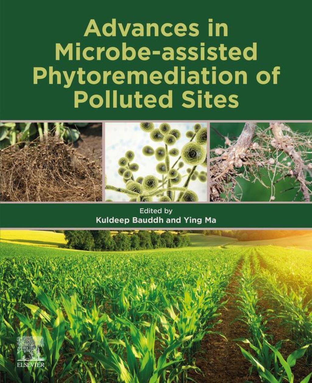 Advances in Microbe-assisted Phytoremediation of Polluted Sites â€“ PDF/EPUB Version Downloadable