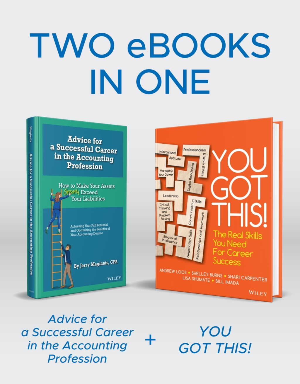 Advice for a Successful Career in the Accounting Profession, 1e - You Got This, WileyPLUS Multi-term 1st Edition â€“ PDF/EPUB Version Downloadable