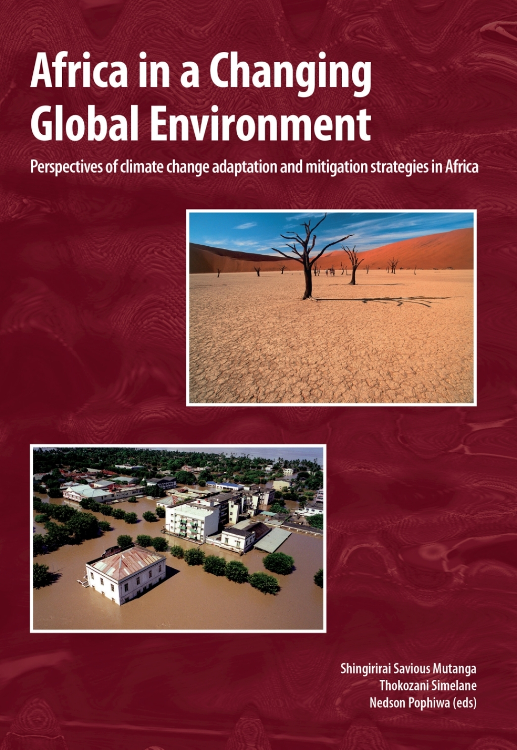 Africa in a changing global environment  â€“ PDF/EPUB Version Downloadable