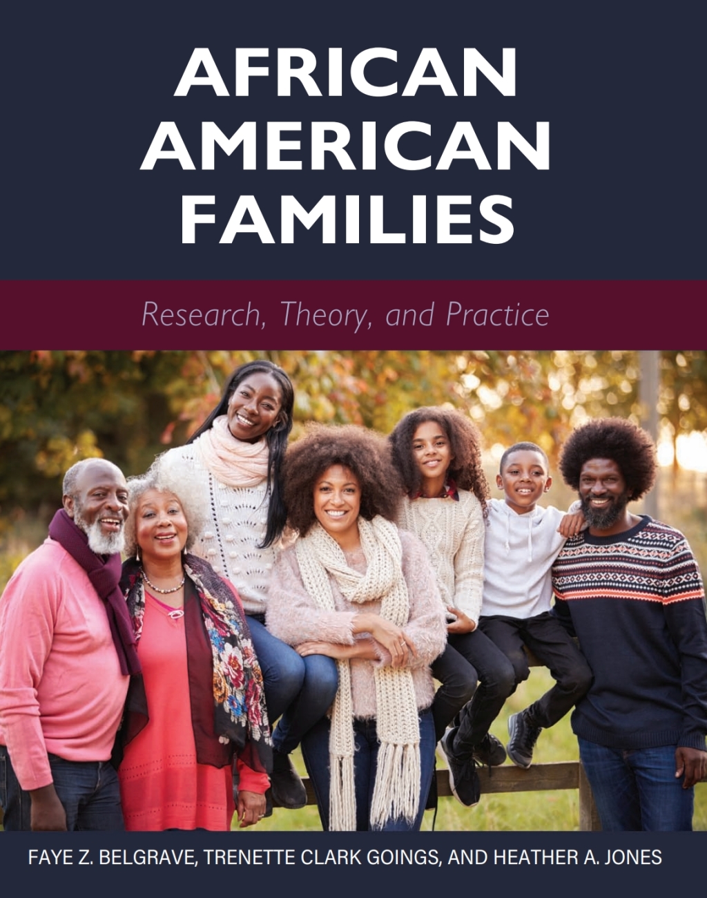 African American Families 1st Edition â€“ PDF/EPUB Version Downloadable