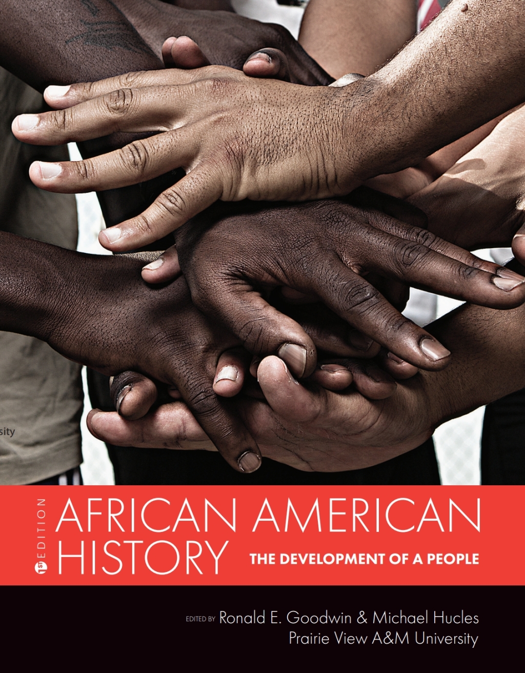 African American History 1st Edition â€“ PDF/EPUB Version Downloadable