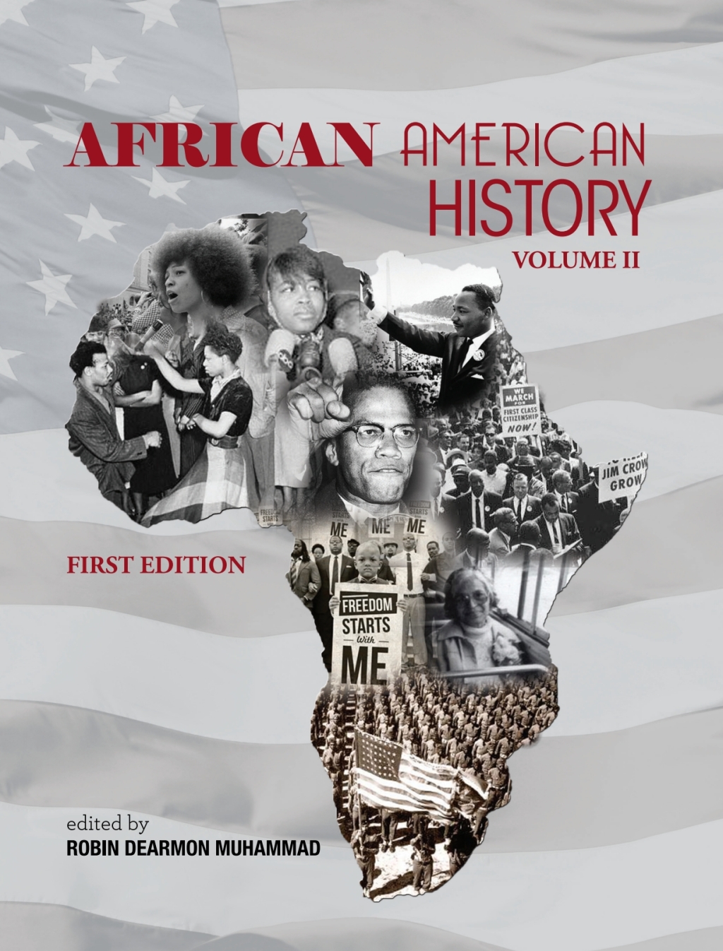 African American History Volume 2 1st Edition â€“ PDF/EPUB Version Downloadable
