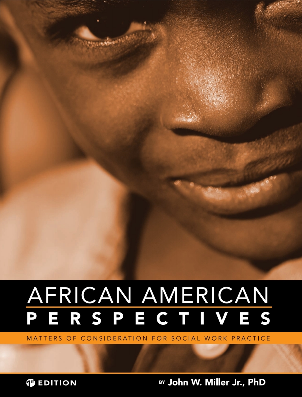 African American Perspectives 1st Edition â€“ PDF/EPUB Version Downloadable