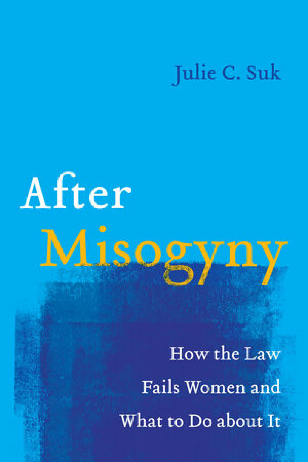 After Misogyny How the Law Fails Women and What to Do about It 1st Edition - (PDF/EPUB Version)