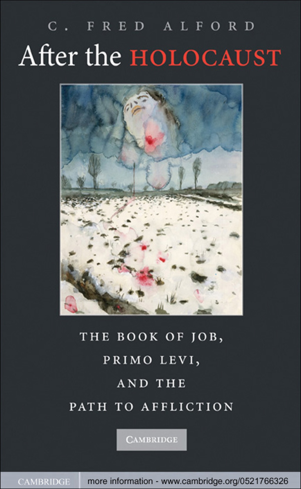 After the Holocaust The Book of Job, Primo Levi, and the Path to Affliction 1st Edition â€“ PDF/EPUB Version Downloadable