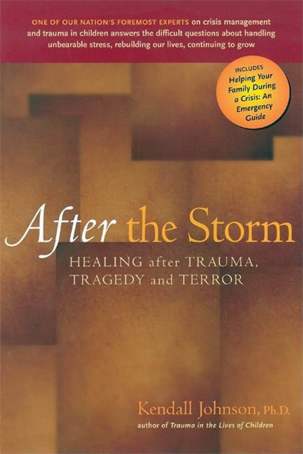 After the Storm Healing After Trauma, Tragedy and Terror - (PDF/EPUB Version)