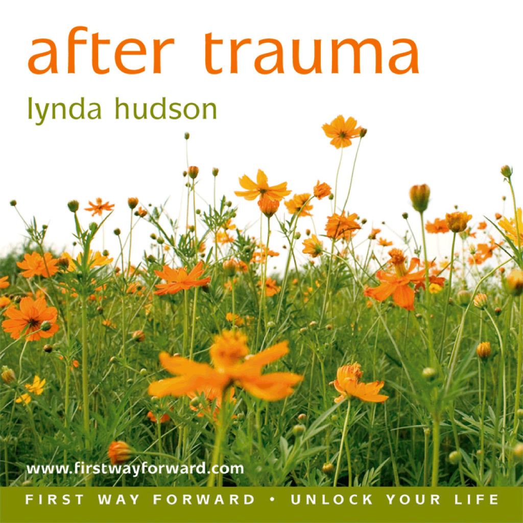 After Trauma - Enhanced Book 3rd Edition - (PDF/EPUB Version)