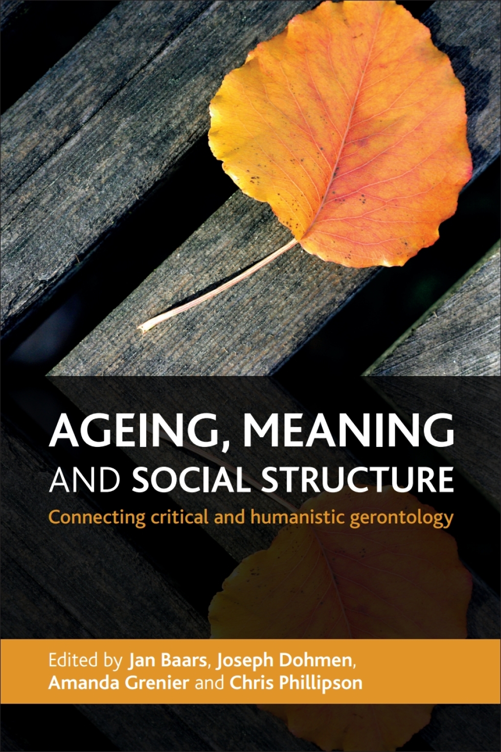 Ageing, Meaning and Social Structure Connecting Critical and Humanistic Gerontology 1st Edition â€“ PDF/EPUB Version Downloadable