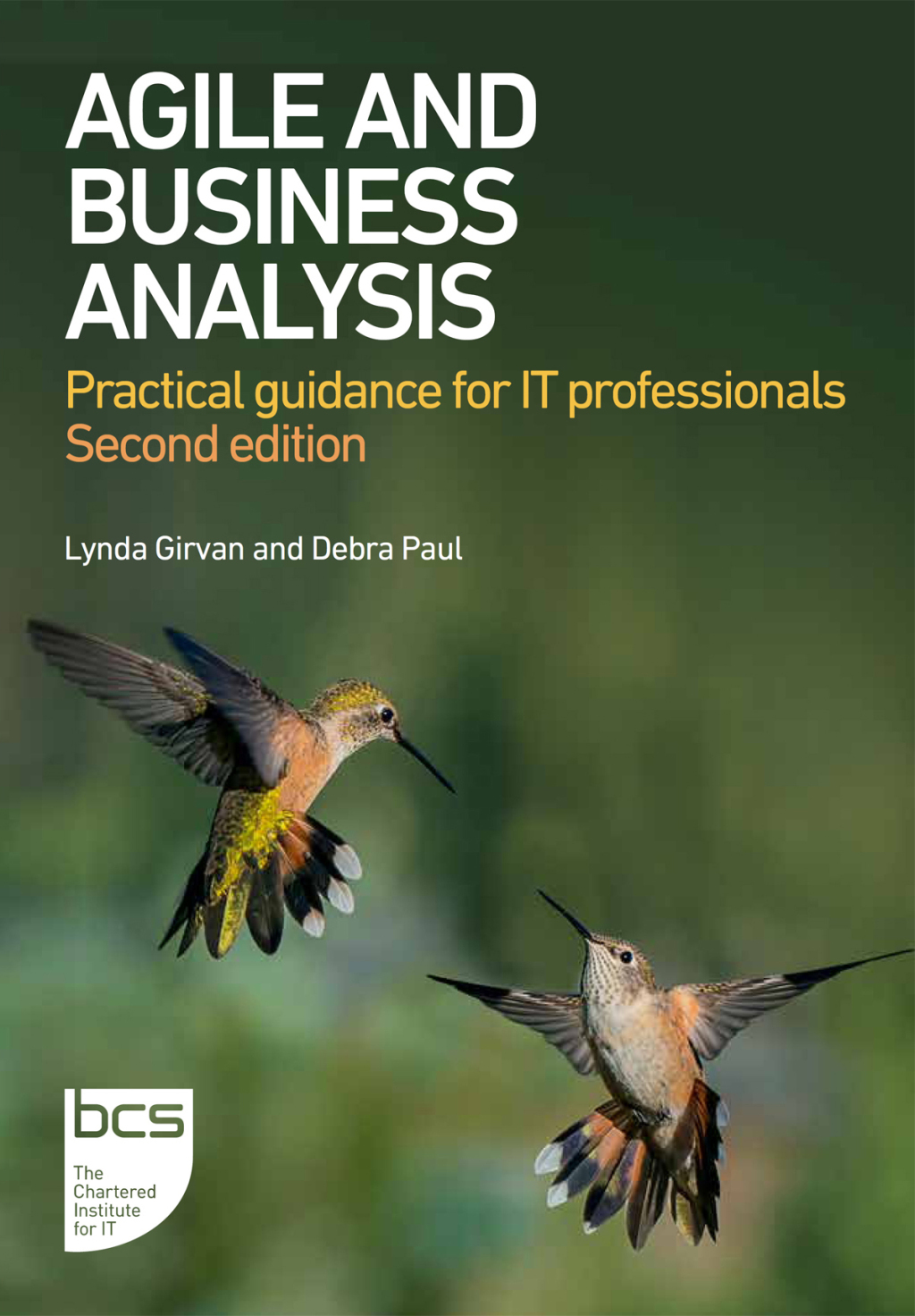 Agile and Business Analysis Practical guidance for IT professionals 2nd ...