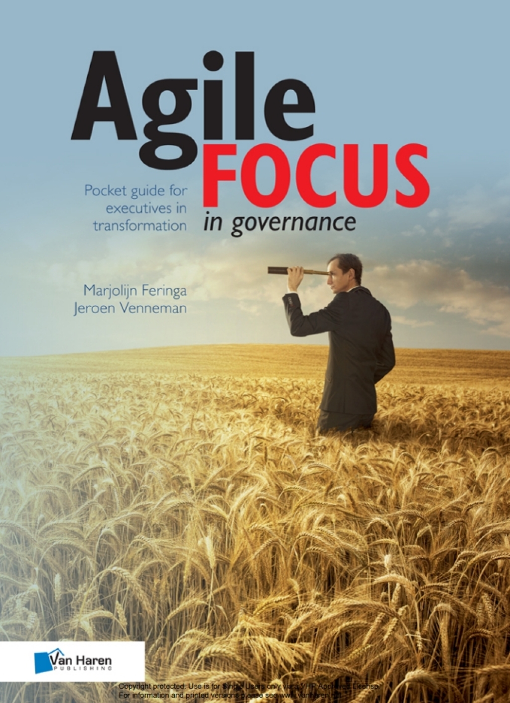 Agile focus in governance 1st Edition - (PDF/EPUB Version)