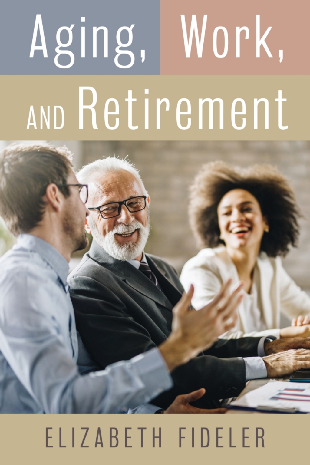 Aging, Work, and Retirement - (PDF/EPUB Version)