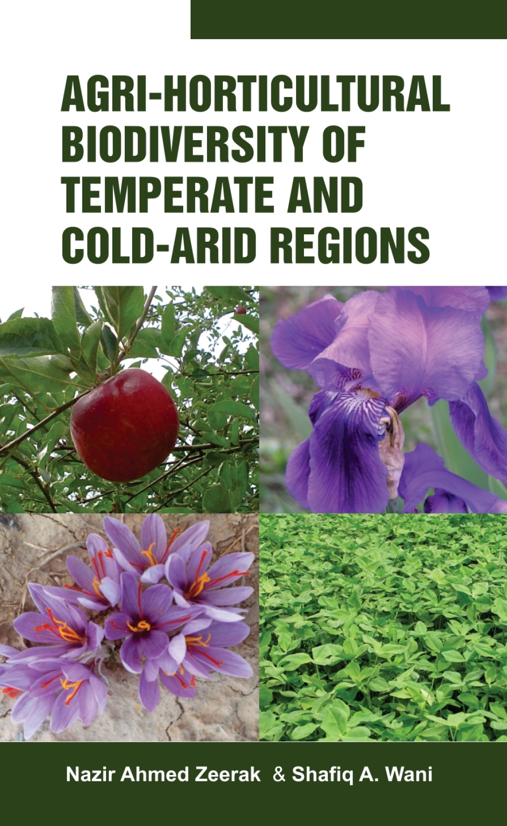 Agri-Horticultural Biodiverstiy of Temperate and Cold Arid Regions 1st Edition â€“ PDF/EPUB Version Downloadable