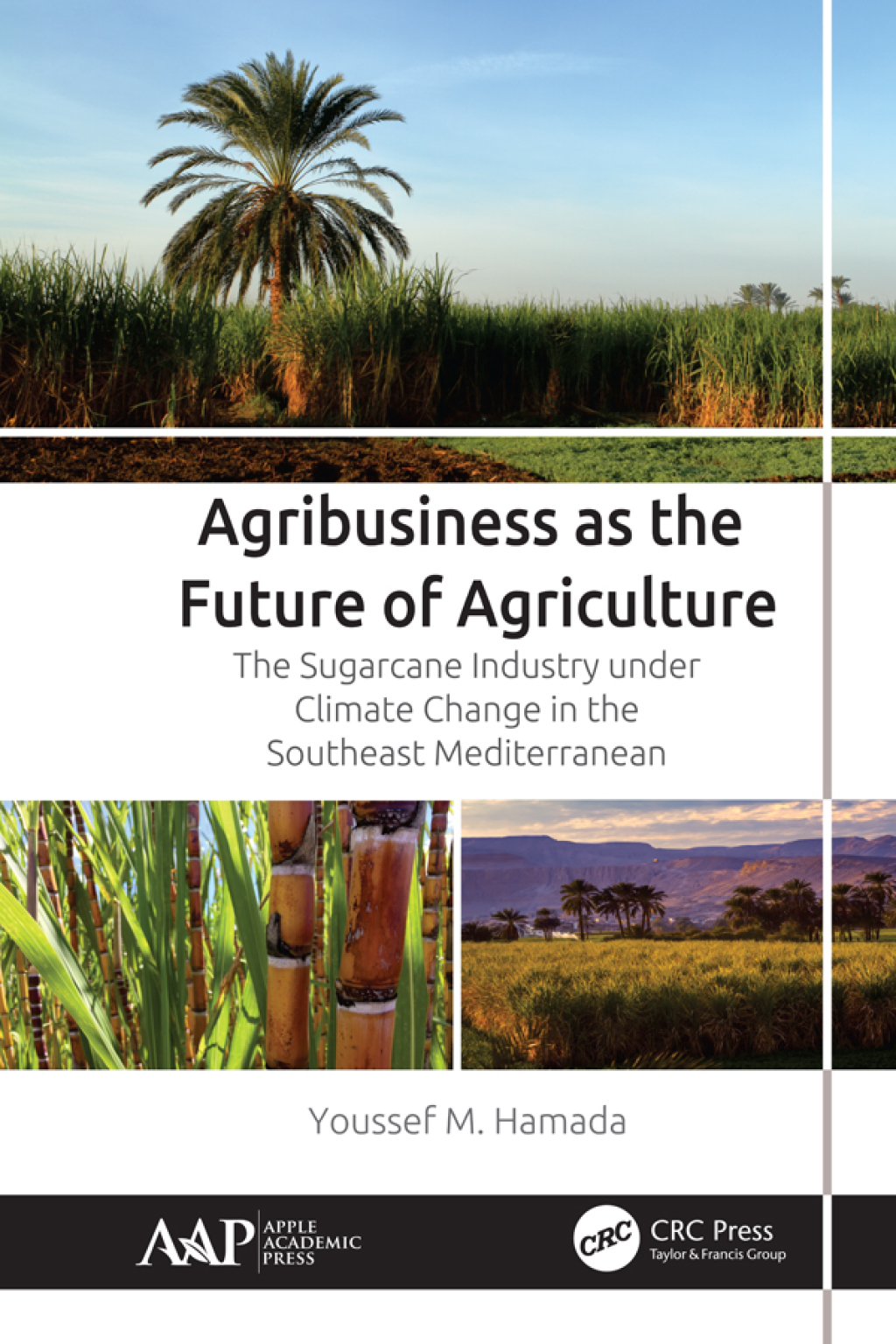 Agribusiness as the Future of Agriculture The Sugarcane Industry under Climate Change in the Southeast Mediterranean 1st Edition â€“ PDF/EPUB Version Downloadable