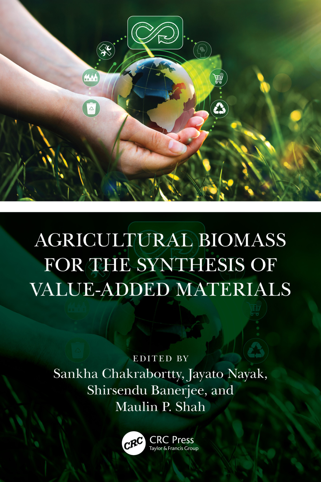 Agricultural Biomass for the Synthesis of Value-Added Materials 1st Edition â€“ PDF/EPUB Version Downloadable