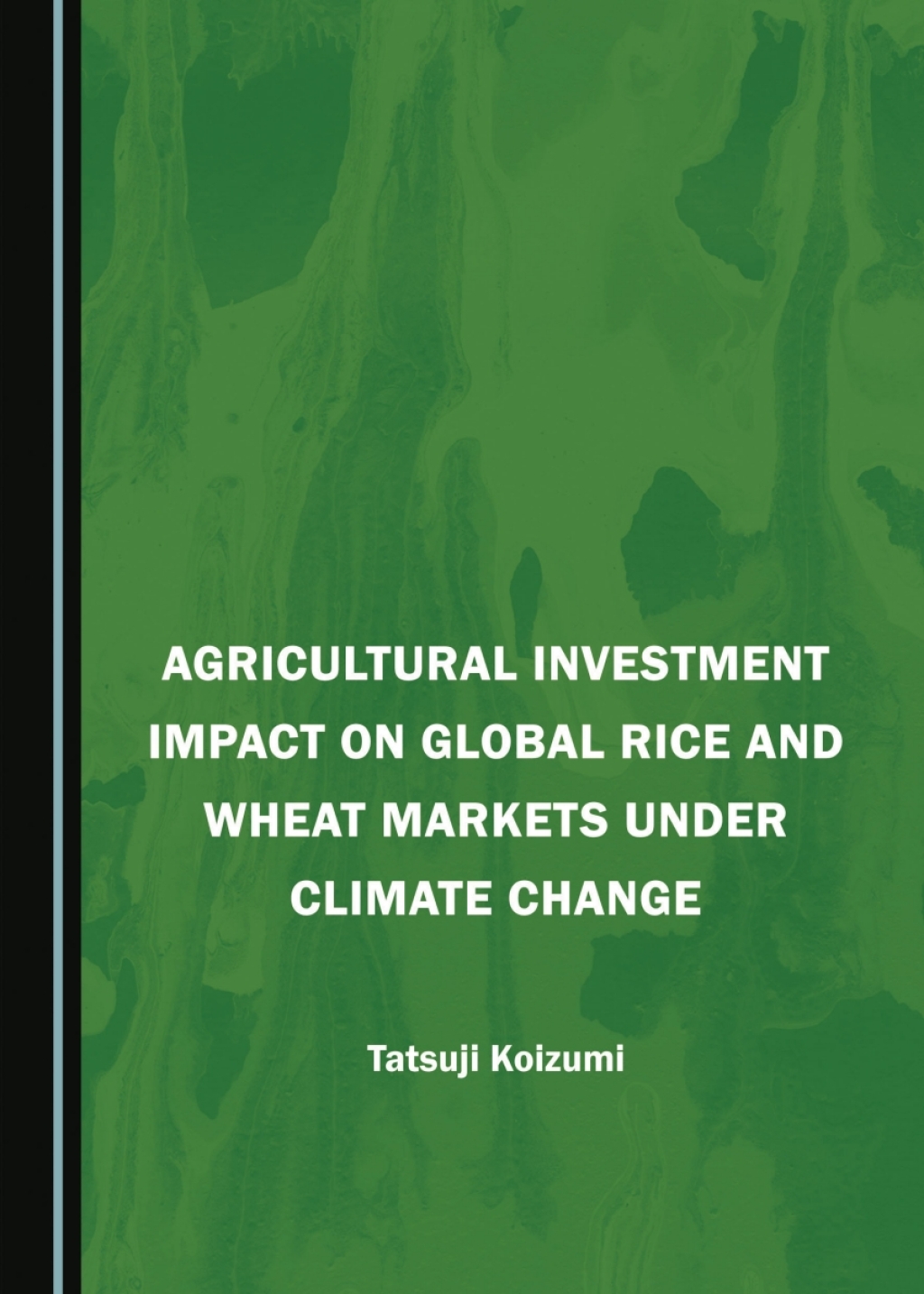 Agricultural Investment Impact on Global Rice and Wheat Markets under Climate Change 1st Edition â€“ PDF/EPUB Version Downloadable