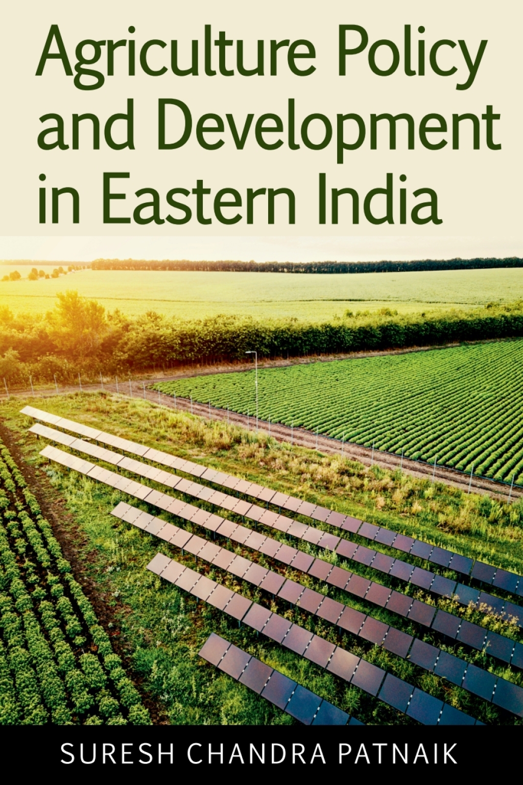 Agriculture Policy and Development in Eastern India 1st Edition â€“ PDF/EPUB Version Downloadable