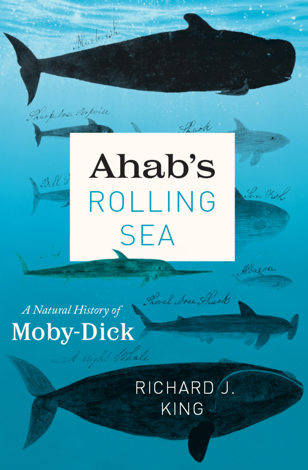 Ahab's Rolling Sea A Natural History of "Moby-Dick" - (PDF/EPUB Version)
